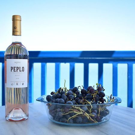 Navy Greece Villa With Swimming Pool & Sea View マクリギアロス エクステリア 写真